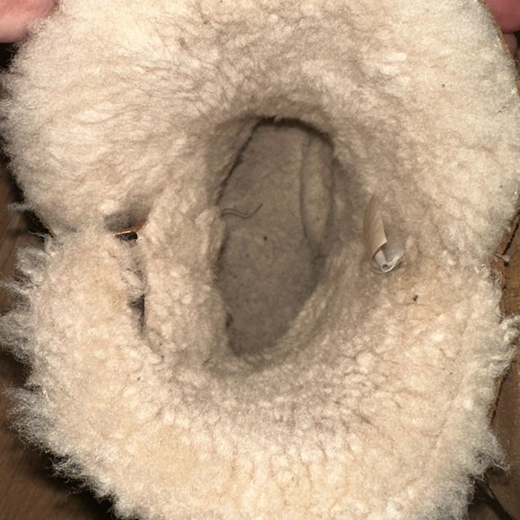 Tan uggs size 8 - Picture 9 of 12